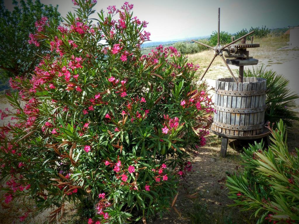 Agriturismo Timpa Del Sole Villa Noto Dış mekan fotoğraf